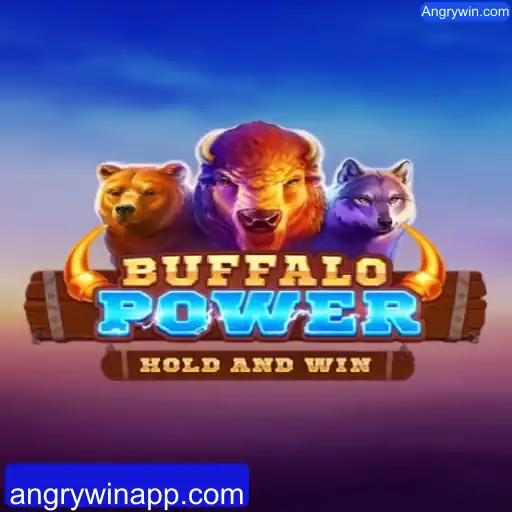 Explorando o Mundo de BuffaloPower e Angrywin.com